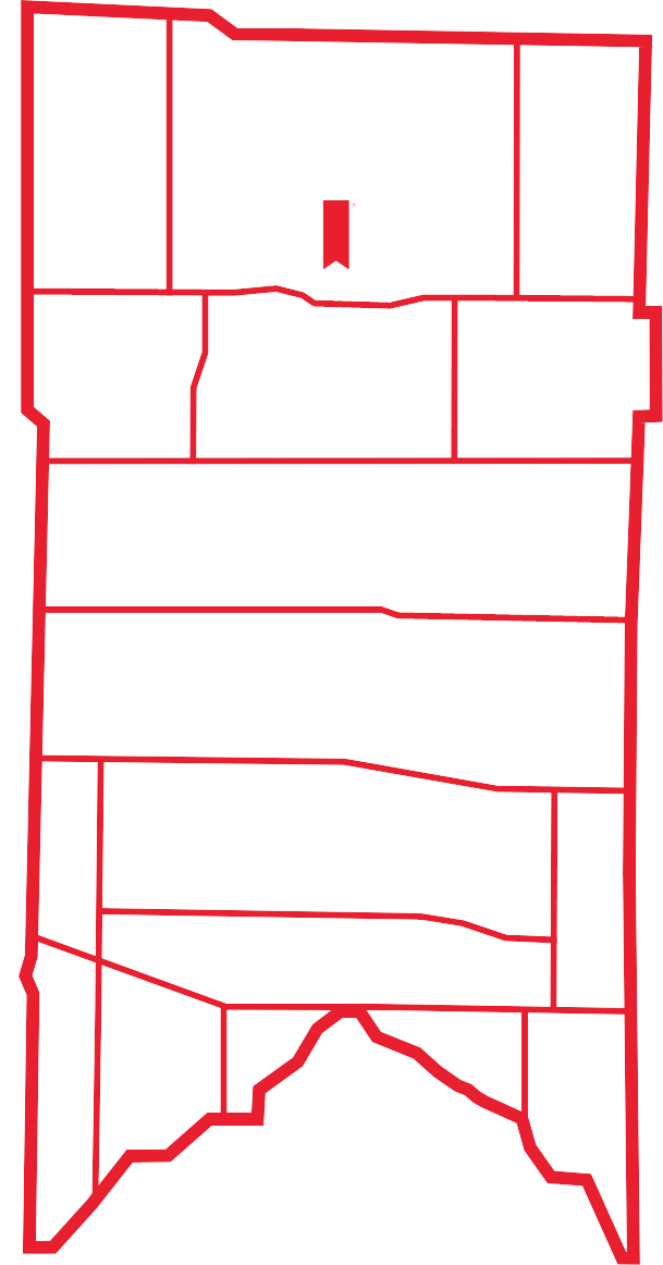 https://www.ultranightrun.ca/wp-content/themes/nightrun2021/images/unr_main_fr.png
